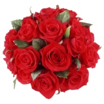 Fresh Flowers